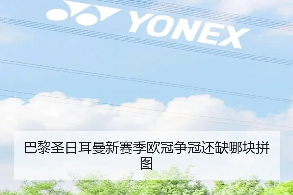 巴黎圣日耳曼新赛季欧冠争冠还缺哪块拼图