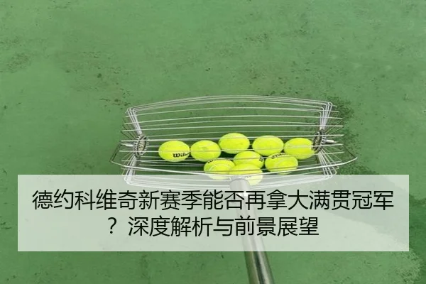 德约科维奇新赛季能否再拿大满贯冠军？深度解析与前景展望